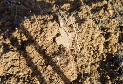 post-28025-0-39603300-1414914677_thumb.j