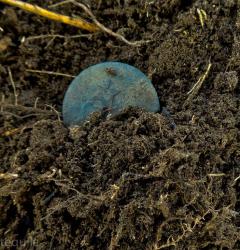 post-28025-0-95262300-1414914612_thumb.j