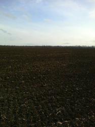 post-28141-0-67190900-1417120070_thumb.j