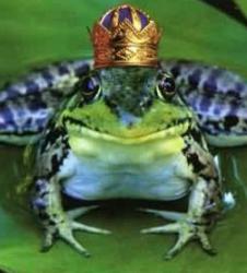 post-2898-0-09010000-1415896400_thumb.jp