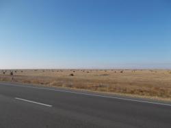 post-30977-0-34569500-1414912949_thumb.j