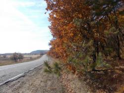 post-30977-0-74531800-1414912960_thumb.j