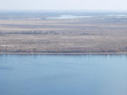 post-30977-0-87374000-1414912967_thumb.j