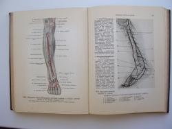 post-31226-0-06504700-1415012329_thumb.j