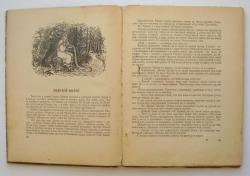 post-31226-0-89380100-1415012739_thumb.j