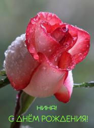 post-31368-0-97319800-1415914522_thumb.j