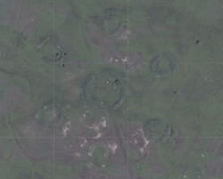 post-31805-0-28425800-1415954640_thumb.p