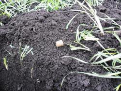 post-32197-0-31864300-1414945087_thumb.j