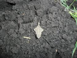 post-32197-0-55173500-1414945018_thumb.j