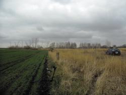 post-32197-0-73508000-1414944980_thumb.j