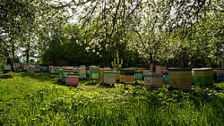 post-32508-0-08026800-1415738626_thumb.j