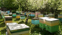 post-32508-0-46387000-1415738621_thumb.j