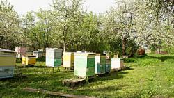 post-32508-0-58349900-1415738632_thumb.j