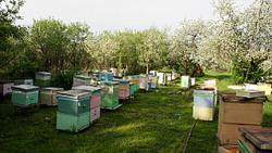 post-32508-0-86689600-1415738613_thumb.j