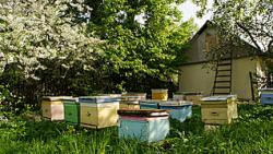 post-32508-0-99468600-1415738639_thumb.j