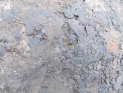 post-32558-0-58192800-1416336340_thumb.j