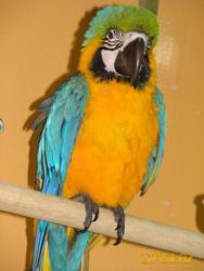 post-4485-0-61023200-1414946162_thumb.jp