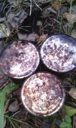 post-6368-0-55586800-1414837882_thumb.jp