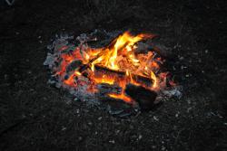 post-7597-0-29908500-1414944034_thumb.jp