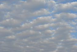 post-7597-0-47739600-1414943496_thumb.jp