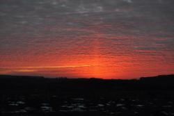 post-7597-0-55890700-1414943955_thumb.jp