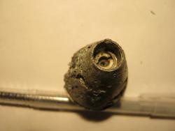 post-9697-0-10123200-1416509822_thumb.jp