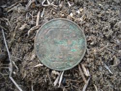 post-12373-0-14611900-1448006581_thumb.j