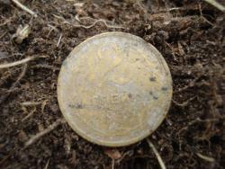 post-12373-0-39871300-1448006125_thumb.j