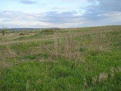 post-12373-0-83840900-1448005716_thumb.j