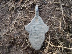 post-12373-0-92946000-1448006663_thumb.j