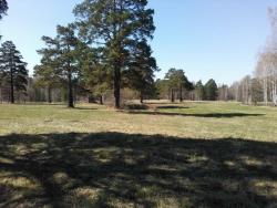 post-16241-0-76717200-1446964742_thumb.j