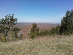 post-16241-0-86962300-1446964697_thumb.j