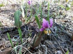 post-16241-0-88305100-1446964804_thumb.j