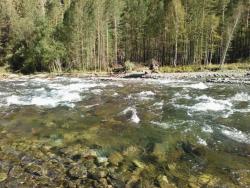 post-16241-0-90307900-1446964839_thumb.j