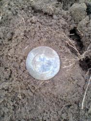 post-17557-0-61600600-1447356795_thumb.j