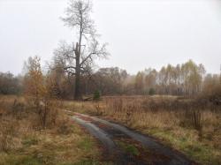 post-23814-0-63396900-1447189756_thumb.j