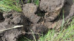 post-24709-0-18218500-1447921783_thumb.j