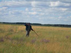 post-24709-0-72992800-1447744591_thumb.j