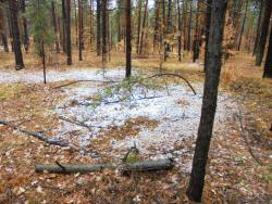 post-26962-0-08840200-1447662769_thumb.j