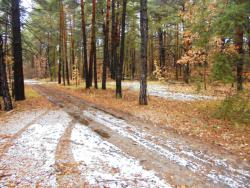 post-26962-0-23367700-1447662436_thumb.j