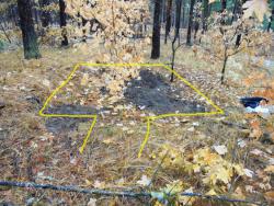 post-26962-0-58937700-1447662910_thumb.j