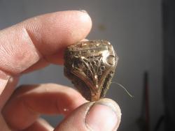 post-27324-0-34165800-1446623918_thumb.j