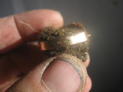 post-27324-0-83315600-1446623939_thumb.j