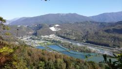 post-27737-0-21691700-1446360864_thumb.j