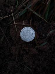 post-27784-0-70645700-1448209295_thumb.j