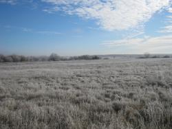 post-27981-0-02068900-1447005350_thumb.j