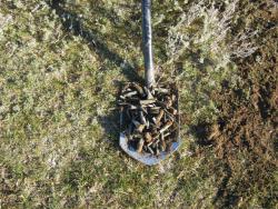 post-27981-0-10776000-1447004827_thumb.j