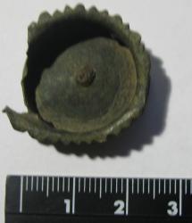 post-28718-0-83598100-1447830824_thumb.j