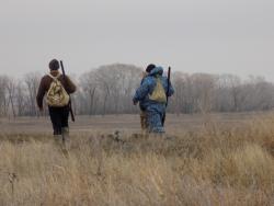 post-29766-0-10668200-1448212921_thumb.j