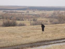 post-29766-0-12772700-1448305867_thumb.j